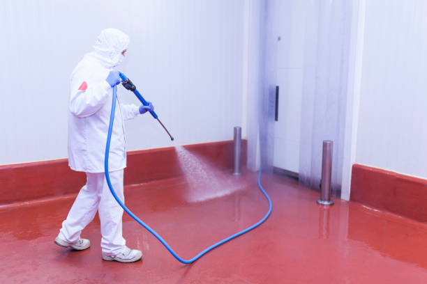 Best Building Exterior Pressure Washing in Clifton, NJ